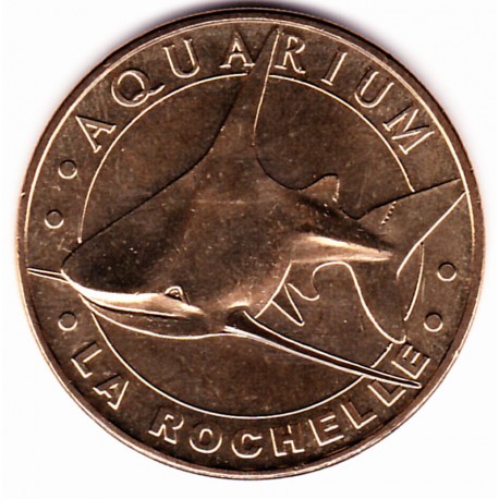 17 - Aquarium de La Rochelle - Le Requin Gris - 2013