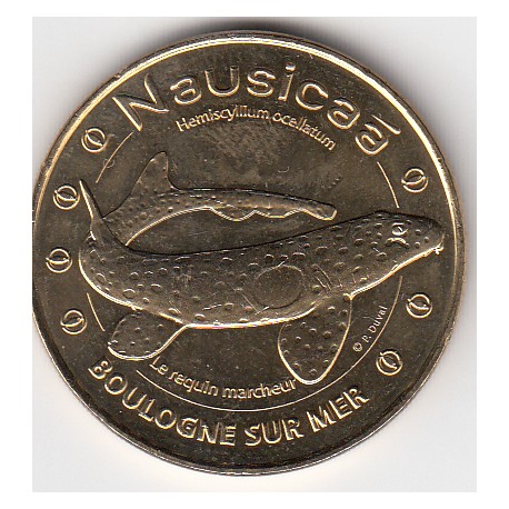 62 - Boulogne-sur-Mer - Nausicaä - Le requin marcheur - 2014
