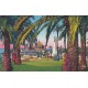 Carte postale - Nice - Le jardin Albert 1er - ses palmiers